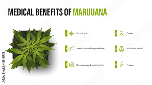 Medical benefits of marijuana, white poster with infographic and bush of cannabis in a pot. Benefits uses of medical marijuana