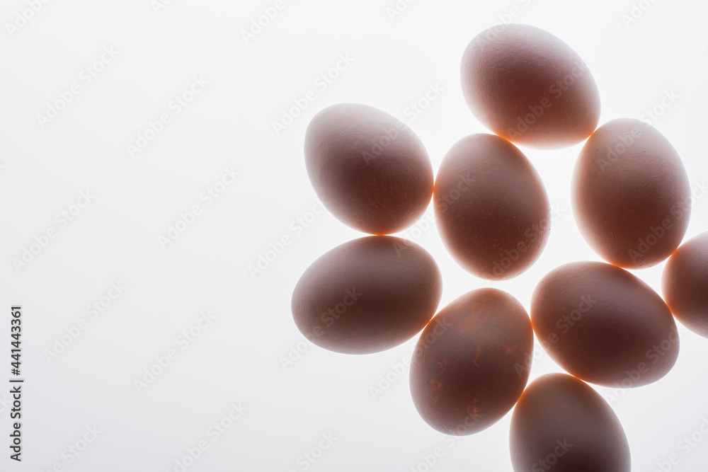bottom view of raw and organic eggs isolated on white bottom view of raw and organic eggs isolated on white