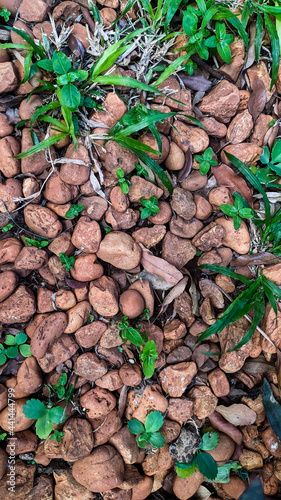 Rocks and Nature Background