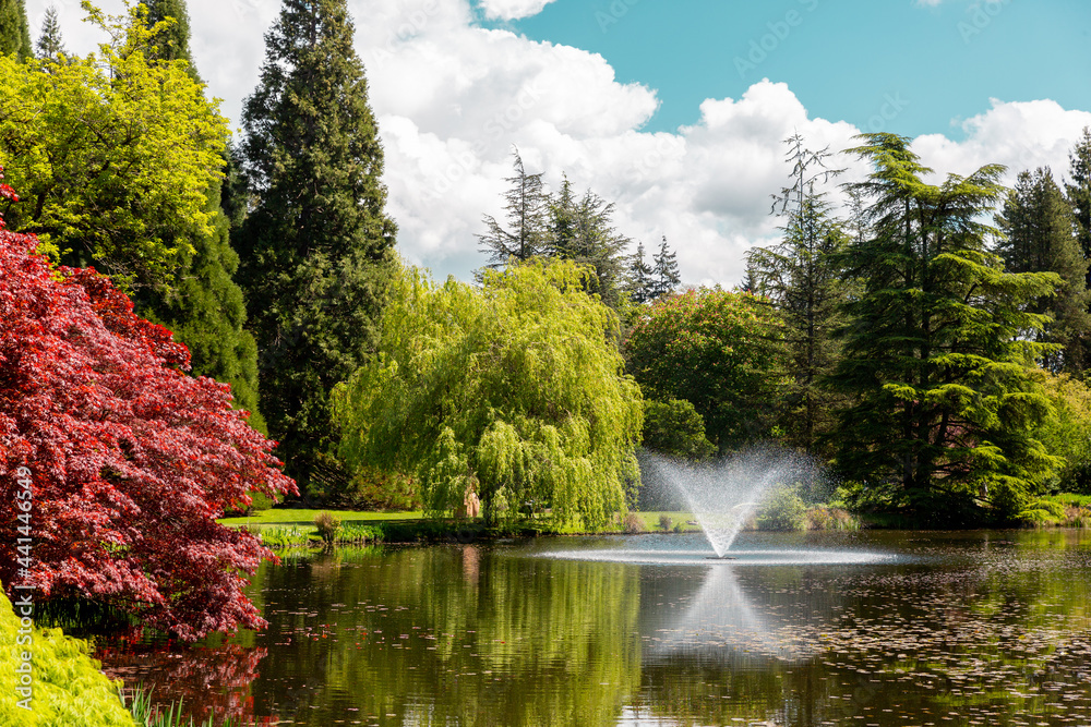 Pond and water feature in a beautiful colourful zen garden Pond and water feature in a beautiful colourful zen garden