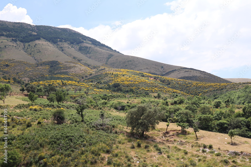 landscape with mountains and sky