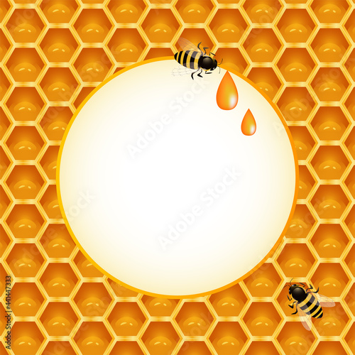 Honey frame with bees and honeycomb. Vector illustration