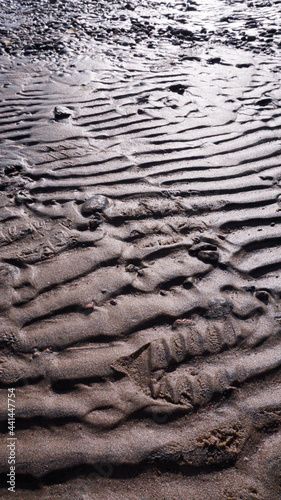 tire tracks in sand