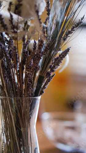 lavender in a vase close photo
