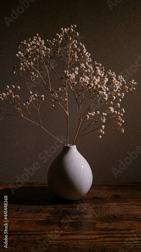 gypsophile in a vase on the background of the wall