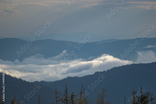 Fototapeta Naklejka Na Ścianę i Meble -  Fog on a mountain range in the Carpathian mountains
