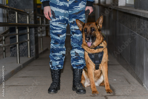 Female police officers with a trained dog. German shepherd police dog.