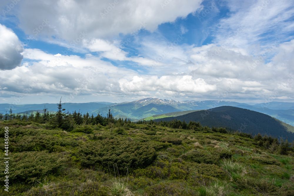 Fototapeta premium Beautiful landscape of mountain ranges and forests in the Ukrainian carpathians