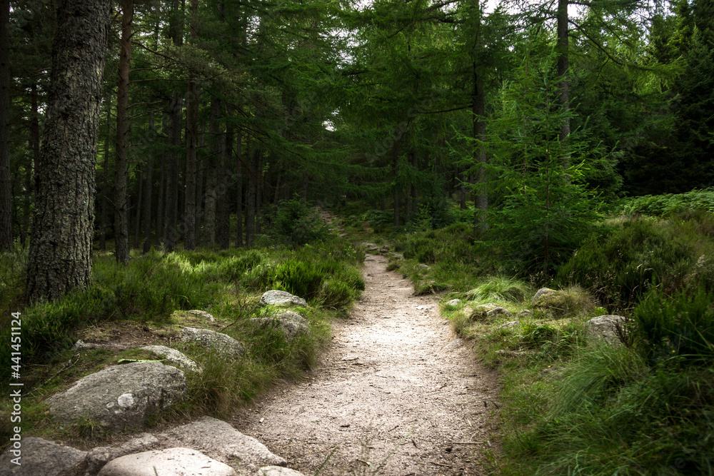 Cairngorms National Park, Aberdeenshire, Scotland, UK. Scottish rural landscape. Cairngorms National Park, Aberdeenshire, Scotland, UK. Scottish rural landscape.