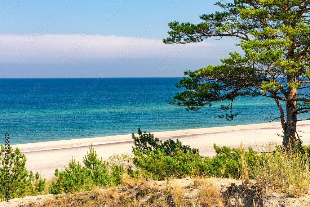 Naklejka premium Summer landscape. A lonely beach with white sand and blue sea. View of Baltic sea coast. Hel Peninsula, Hel, Pomerania, Poland