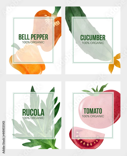 Summer veggies banner, hand drawn vector watercolor illustration