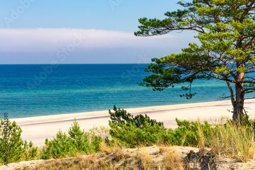 Summer landscape. A lonely beach with white sand and blue sea. View of Baltic sea coast.  Hel Peninsula, Hel, Pomerania, Poland © krysek