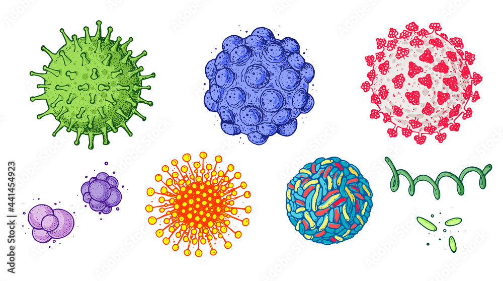 Fototapeta premium Different kinds of virus, sketch collection. Hand drawn illustration, vintage engraved style. Respiratory virus infection. Corona virus. Coronavirus 2019-nCoV and other viruses. Macro drawing.