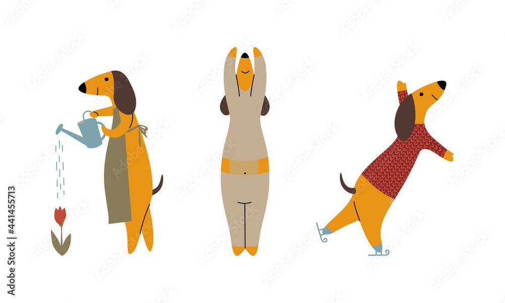 Comic Brown Dachshund Dog Watering Flowers, Ice Skating and Doing Yoga  Vector Set