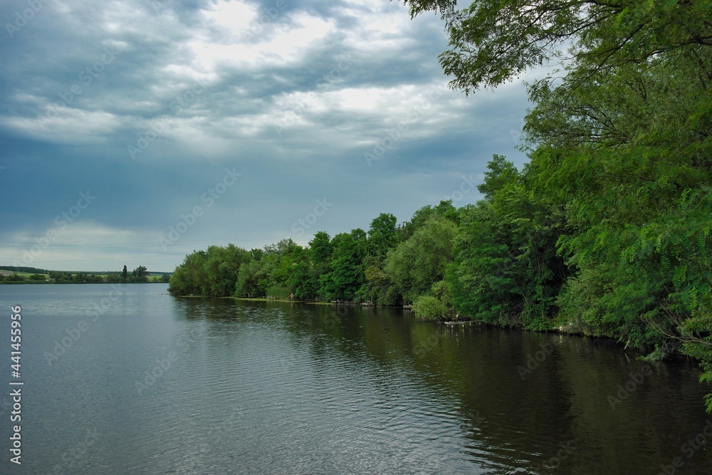 Summer landscape on a riverside flooded meadow with trees and lush green grass