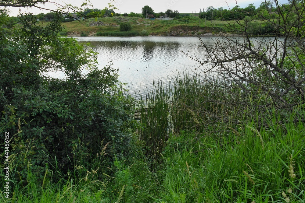 Summer landscape on a riverside flooded meadow with trees and lush green grass Summer landscape on a riverside flooded meadow with trees and lush green grass