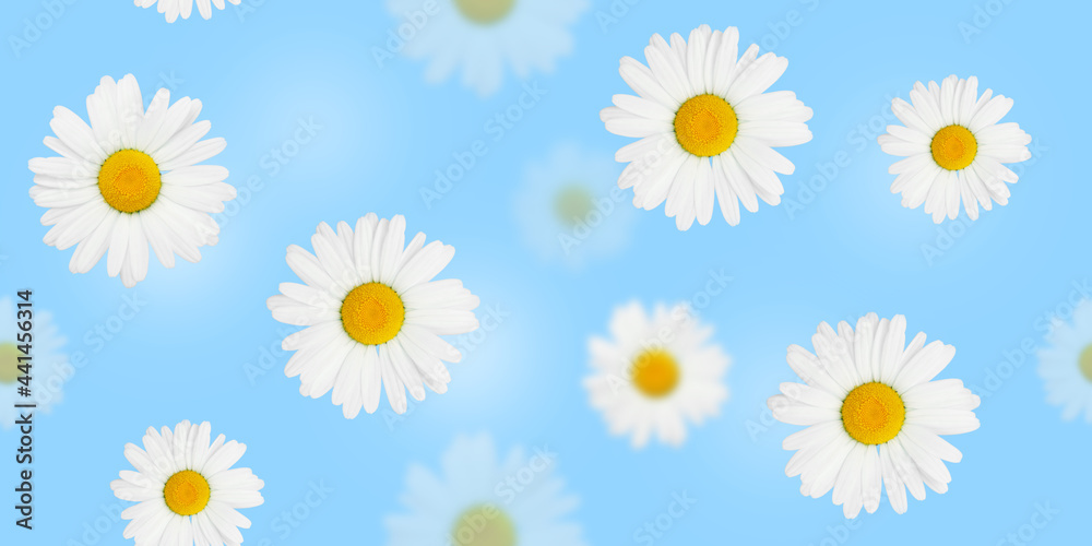 Fototapeta premium Flowers seamless pattern