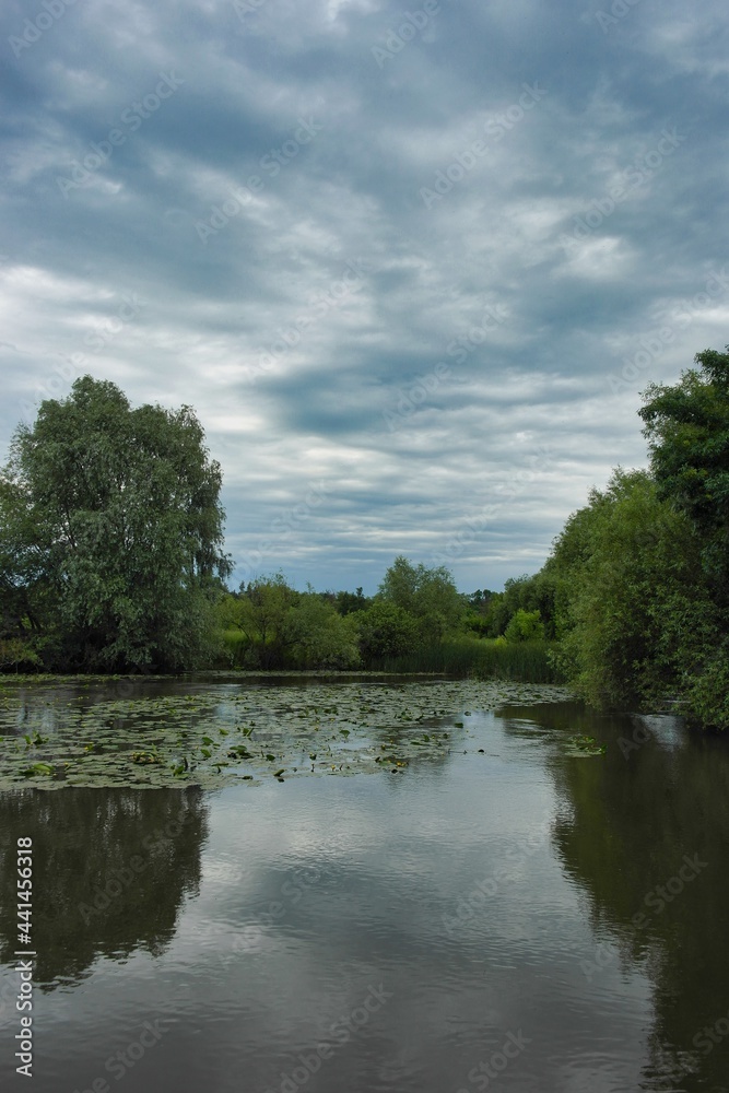 Summer landscape on a riverside flooded meadow with trees and lush green grass