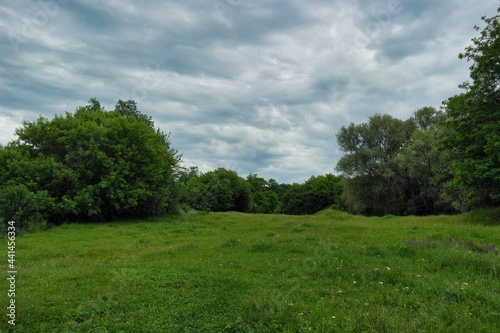 Summer landscape on a riverside flooded meadow with trees and lush green grass