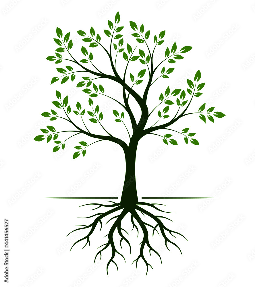 Green tree with roots. Vectro Illustration. Green tree with roots. Vectro Illustration.