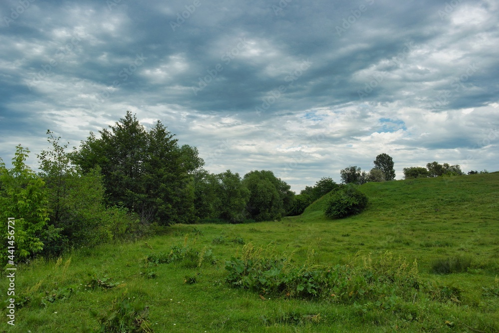 Summer landscape on a riverside flooded meadow with trees and lush green grass