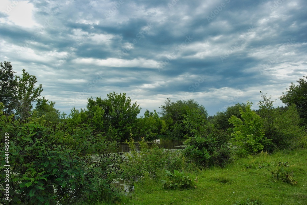 Summer landscape on a riverside flooded meadow with trees and lush green grass Summer landscape on a riverside flooded meadow with trees and lush green grass
