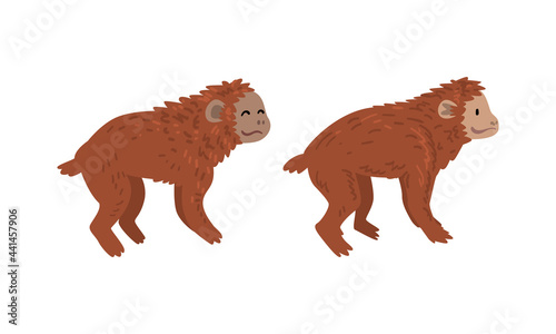 Monkey or Primate as Human Evolution Stage and Gradual Development Vector Set