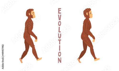 Monkey or Primate as Human Evolution Stage and Gradual Development Vector Set