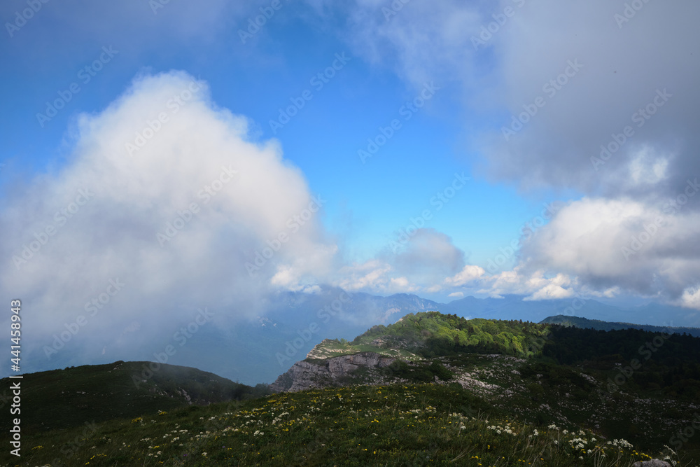 Forest and mountains in fog in cloudy weather. Cloud envelops rocky mountains and alpine meadows. Beautiful landscape of National Park of Russia.