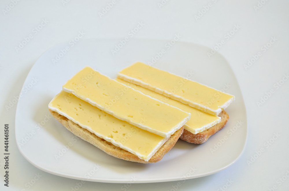 Two Sandwiches with Camembert cheese on white Plate