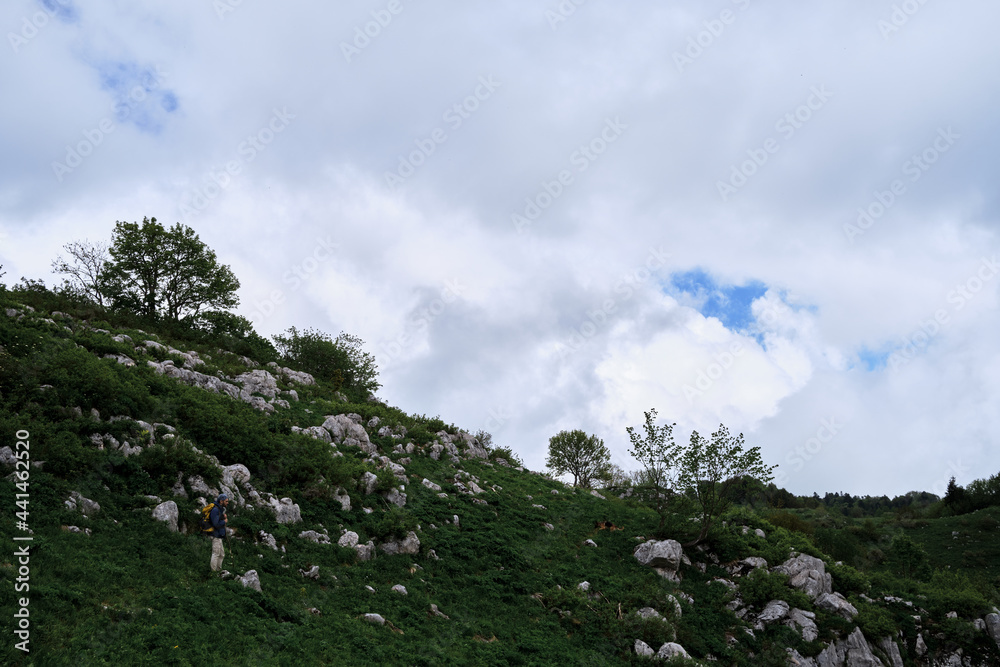 Travel together with dog in mountains of Caucasus. Male tourist with yellow large backpack travels along plateau with his dog and studies new beauty of Alpine meadows.