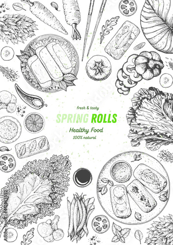 Asian food menu design template. Spring rolls and ingredients for spring rolls vector illustration. Vietnamese food top view frame. Vintage hand drawn sketch vector illustration. Engraved image.