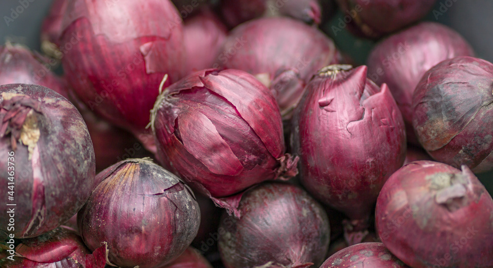 A Close Up Photograph of a Collection of Some Sweet, Fresh, Red Onions, in a Basket