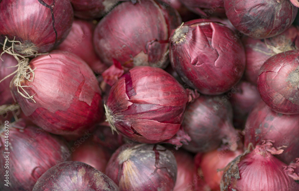 A Photograph of a Collection of some Sweet, Fresh, Red, Onions. A Photograph of a Collection of some Sweet, Fresh, Red, Onions.