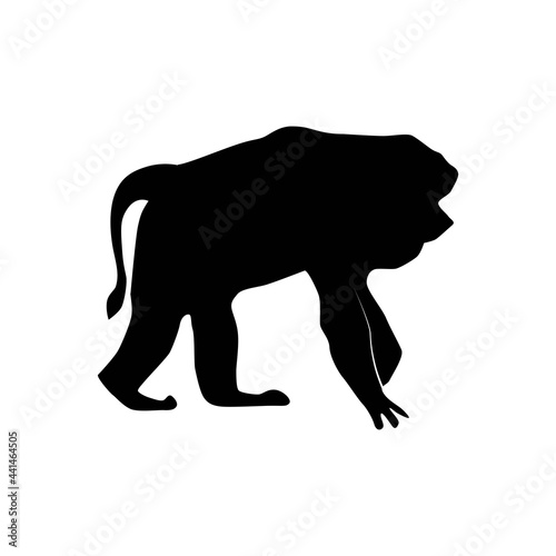 Lion-tailed macaque or Macaca silenus or Wanderoo, vector silhouette. isolated on white background
