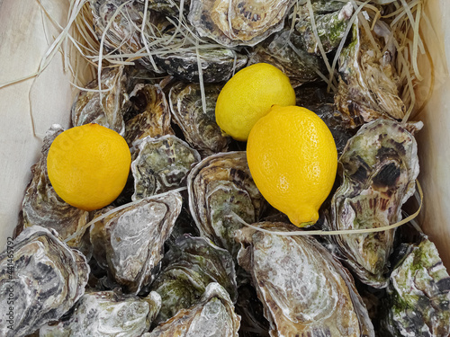 Fototapeta Naklejka Na Ścianę i Meble -  Raw oysters in box with lemons