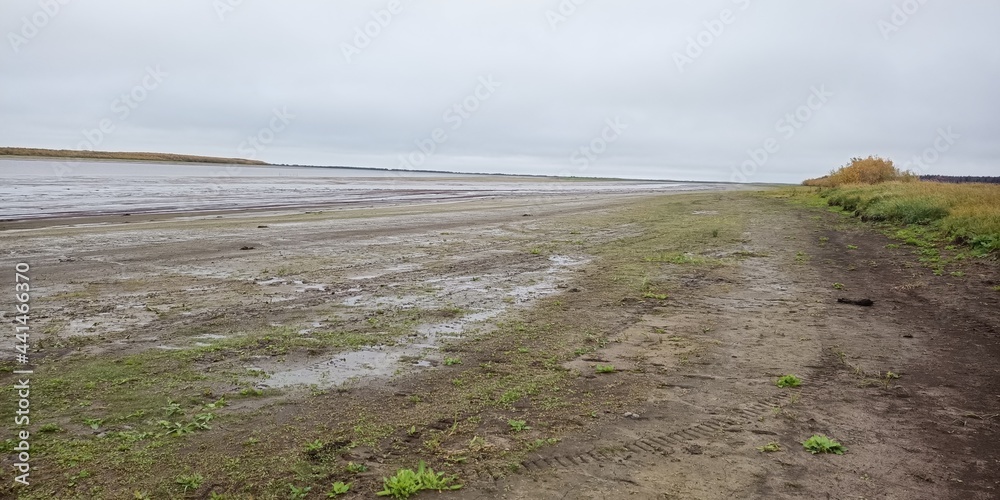 Fototapeta premium landscape with a field of grass