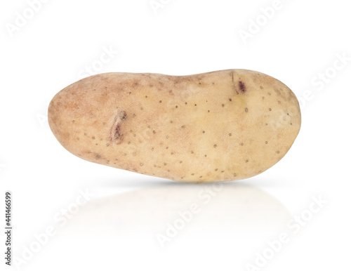 Young potatoe isolated on white background with shadow and reflection.