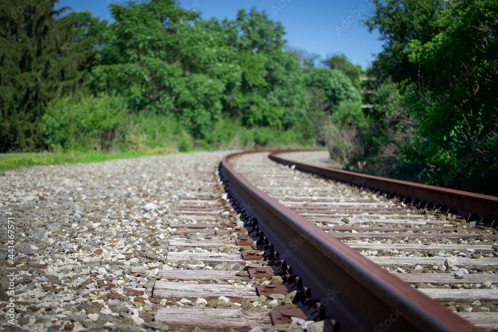 Fototapeta premium Close up of rail train track with green trees and bright blue clear sky 