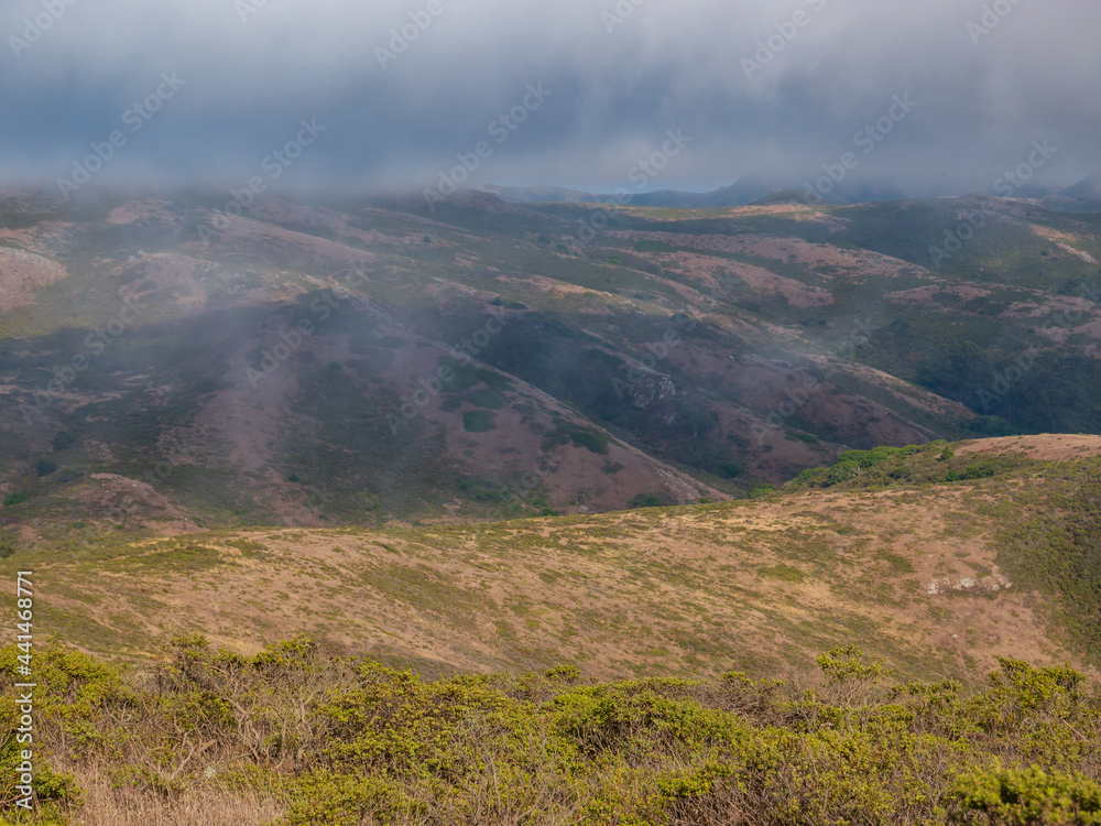 Foggy Costal Scrub cover hills near Muir Beach GGNRA California 3