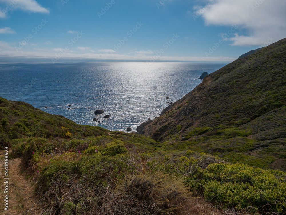 Northern coastal scrub along rocky coast near Muir Beach, Golden Gate Recreation Area Califorina Northern coastal scrub along rocky coast near Muir Beach, Golden Gate Recreation Area Califorina