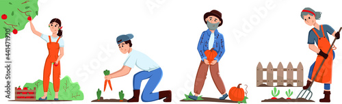 Smiling people of different ages pick fruits and vegetables in the garden. Seasonal work in the garden and vegetable garden. Autumn harvest. Stock vector flat illustration. 
Agricultural work concept