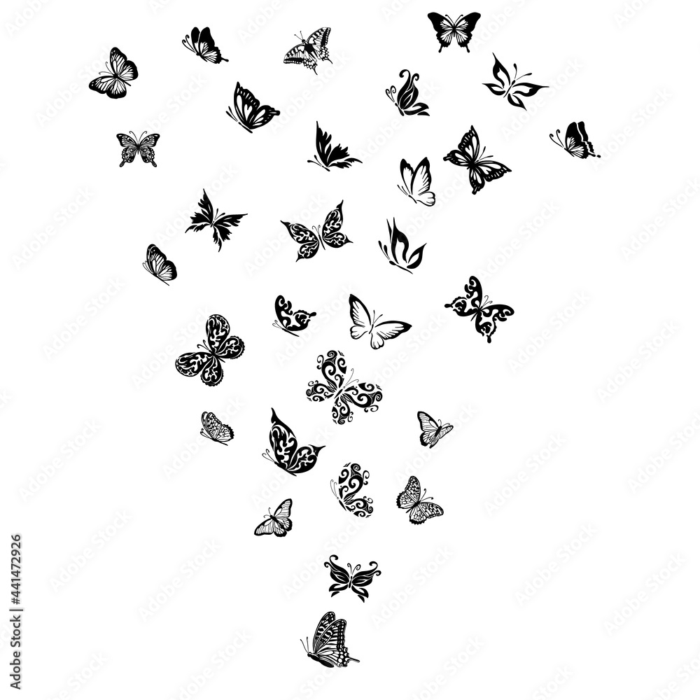 Fototapeta premium monochrome butterflies. Abstract vector illustration