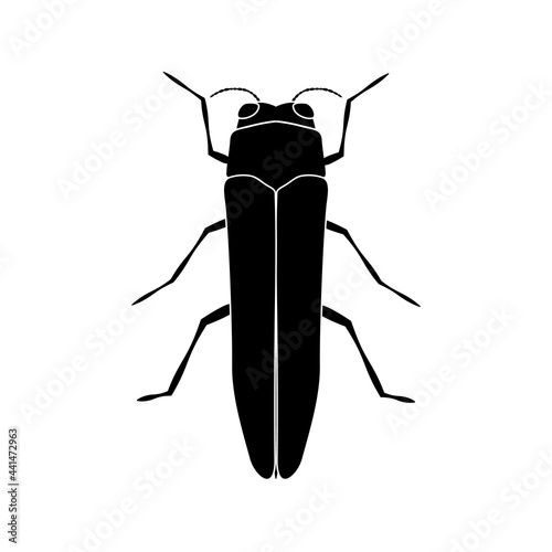 The emerald ash borer icon, vector illustration Agrilus planipennis