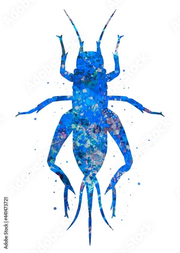 Cricket Animal blue watercolor art, abstract painting. Watercolor illustration rainbow, colorful, decoration wall art.