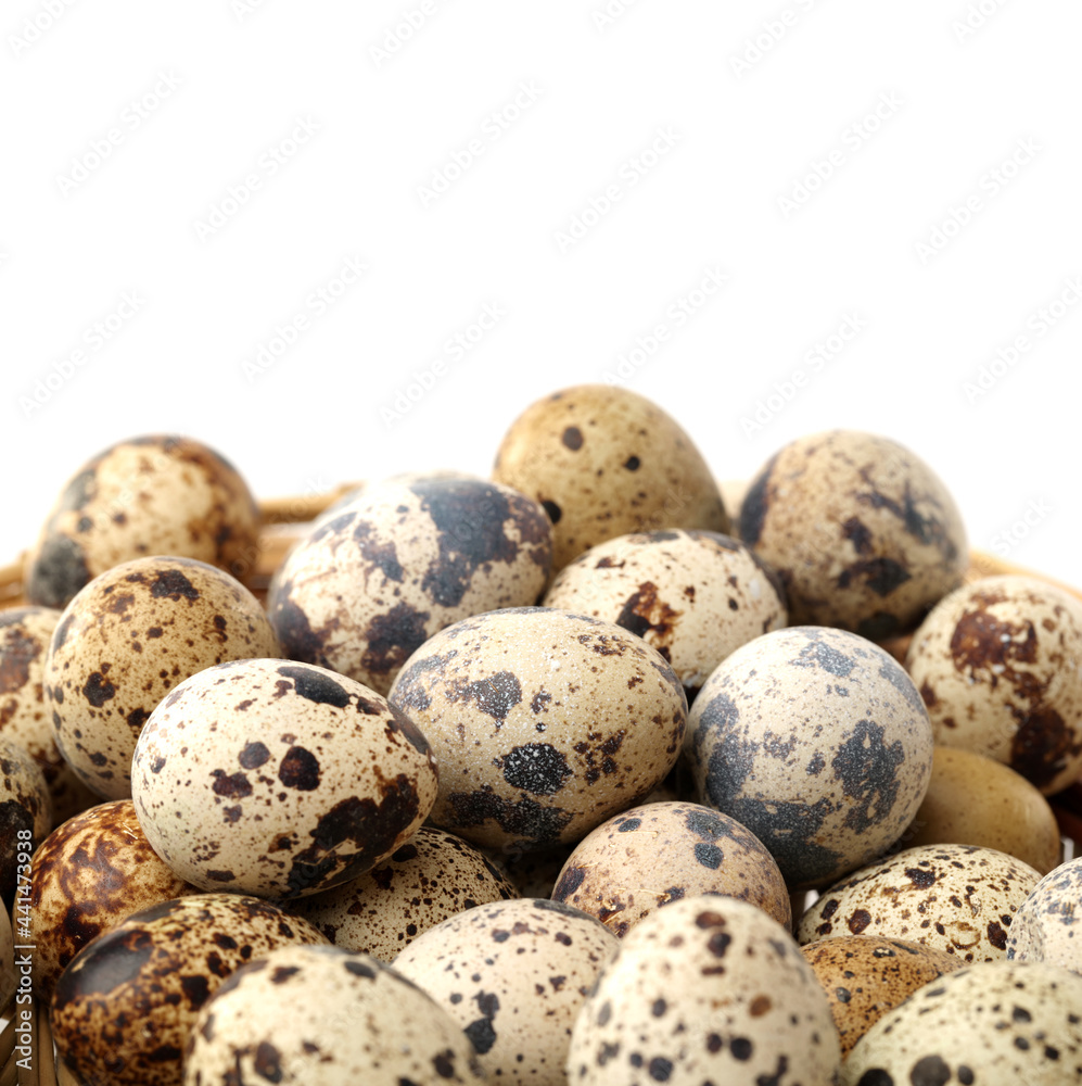 quail eggs on white background quail eggs on white background