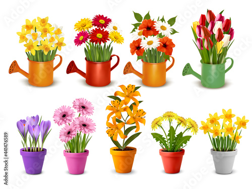 Mega collection of spring and summer colorful flowers in pots,  watering cans and vases. Vector
