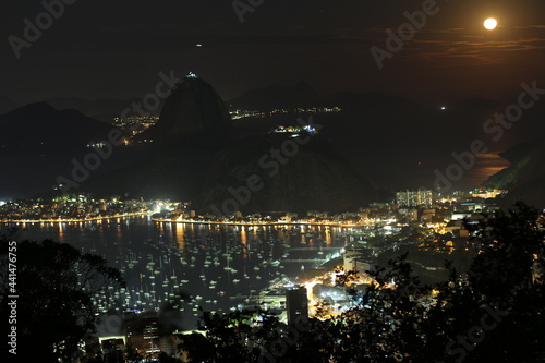 night view of the city