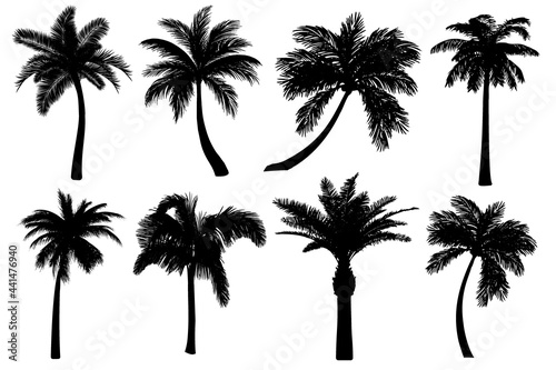 Palm tree silhouettes set isolated on white background.  Black tropical icons collection of coconut tree. Different shapes of highly detailed realistic outline drawings. Vector illustration EPS10