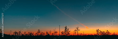 Berezinsky, Biosphere Reserve, Belarus. Autumn Dawn Landscape With Marsh Swamp During Sunset. Dark Trees Silhouettes On Colorful Sunset Sky Background